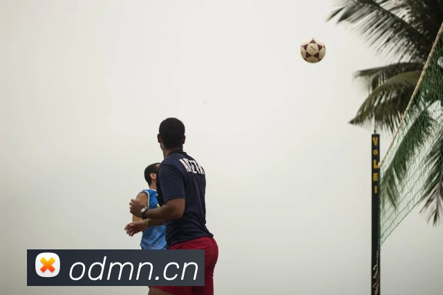 开云官方在线登陆入口平台生态图